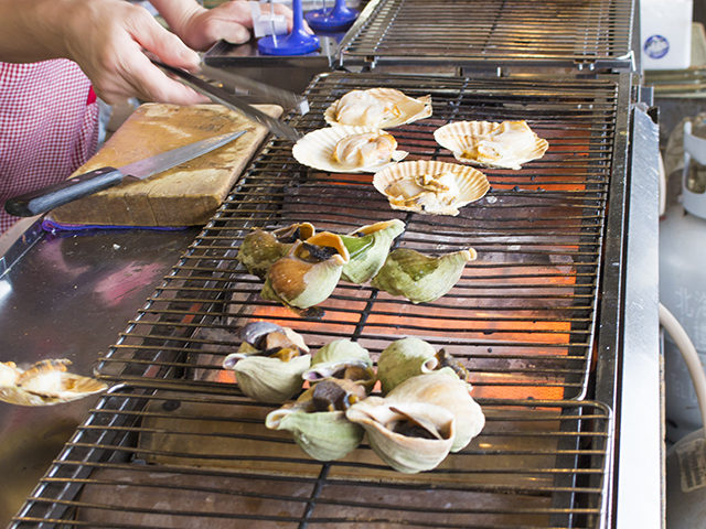 ニシンやウニ丼のメニューが人気の小樽・青塚食堂で海鮮丼をいただきました！
